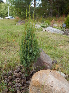 DSCN3661.JPG