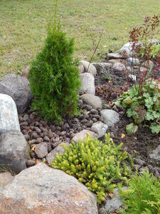 DSCN3676.JPG