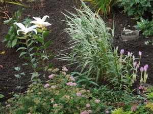 DSCF9517.JPG