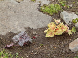 DSCN3567.JPG
