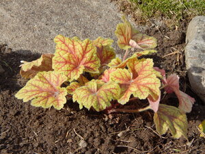 DSCN3682.JPG