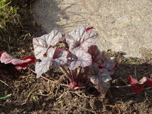 DSCN3683.JPG