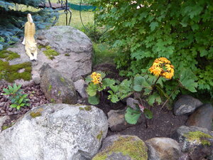DSCN3438.JPG