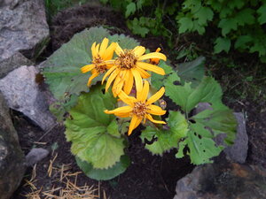 DSCN3440.JPG