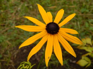 DSCN3590.JPG