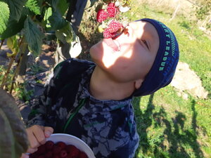 20201004_114040.jpg