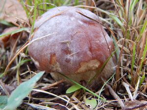 DSCN3684.JPG