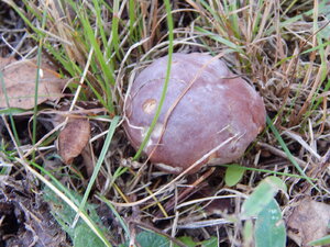 DSCN3685.JPG