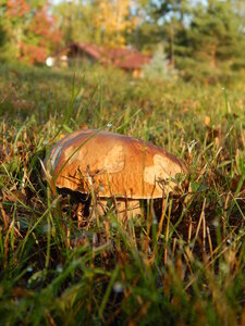 DSCN3738.JPG