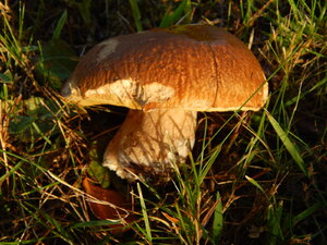 DSCN3739.JPG