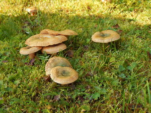 DSCN3761.JPG