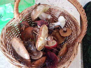 DSCN3786.JPG