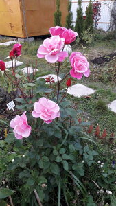20201005_174012.jpg