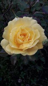 20201005_174042.jpg