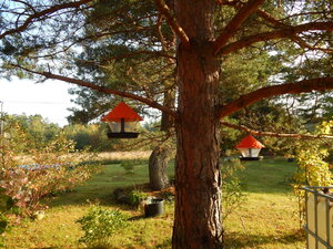 DSCN3779.JPG