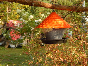 DSCN3841.JPG