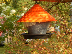 DSCN3842.JPG