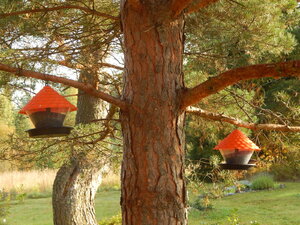 DSCN3846.JPG