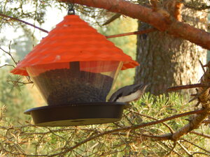DSCN3847.JPG