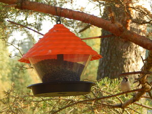DSCN3848.JPG