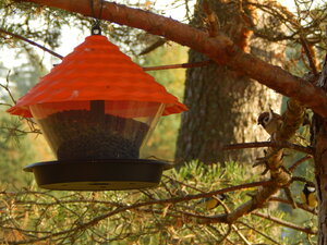 DSCN3849.JPG