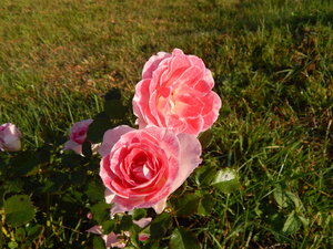 DSCN3745.JPG
