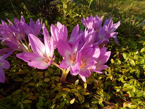 DSCN3747.JPG