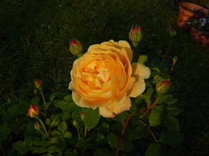 DSCN3751.JPG