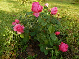 DSCN3752.JPG