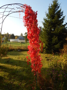 DSCN3756.JPG