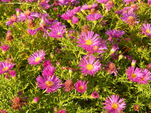 DSCN3757.JPG