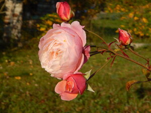DSCN3759.JPG