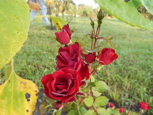 DSCN3769.JPG