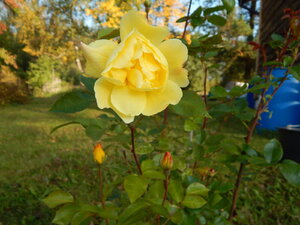 DSCN3776.JPG
