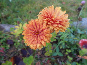 DSCN3783.JPG