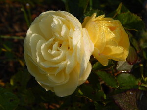 DSCN3854.JPG