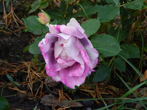 DSCN3860.JPG