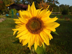 DSCN3883.JPG