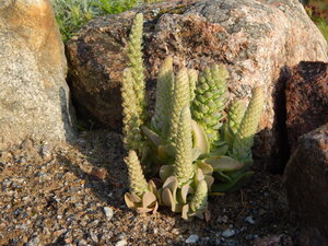 DSCN3886.JPG
