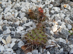 DSCN3891.JPG