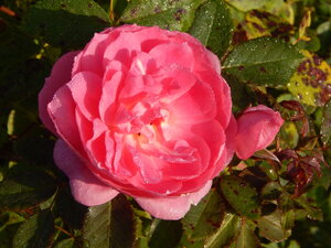 DSCN3894.JPG