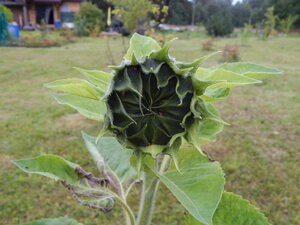 DSCN3477.JPG