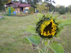 DSCN3698.JPG