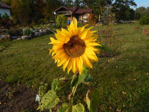 DSCN3943.JPG