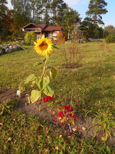 DSCN3944.JPG