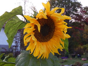 DSCN3995.JPG