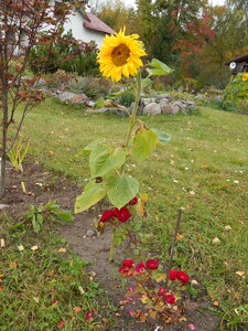 DSCN4114.JPG