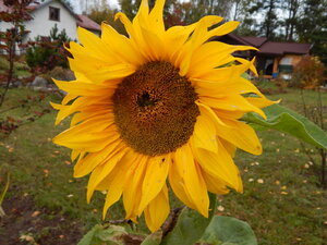 DSCN4115.JPG