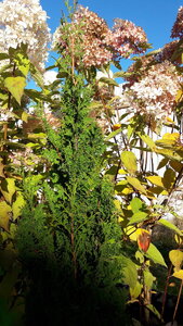20201016_113632.jpg