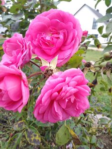 IMG_20201017_131046.jpg